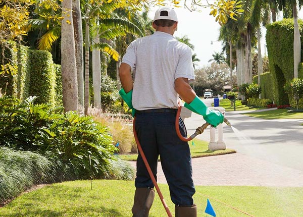 About Roselle Park NJ Pest Control Pros